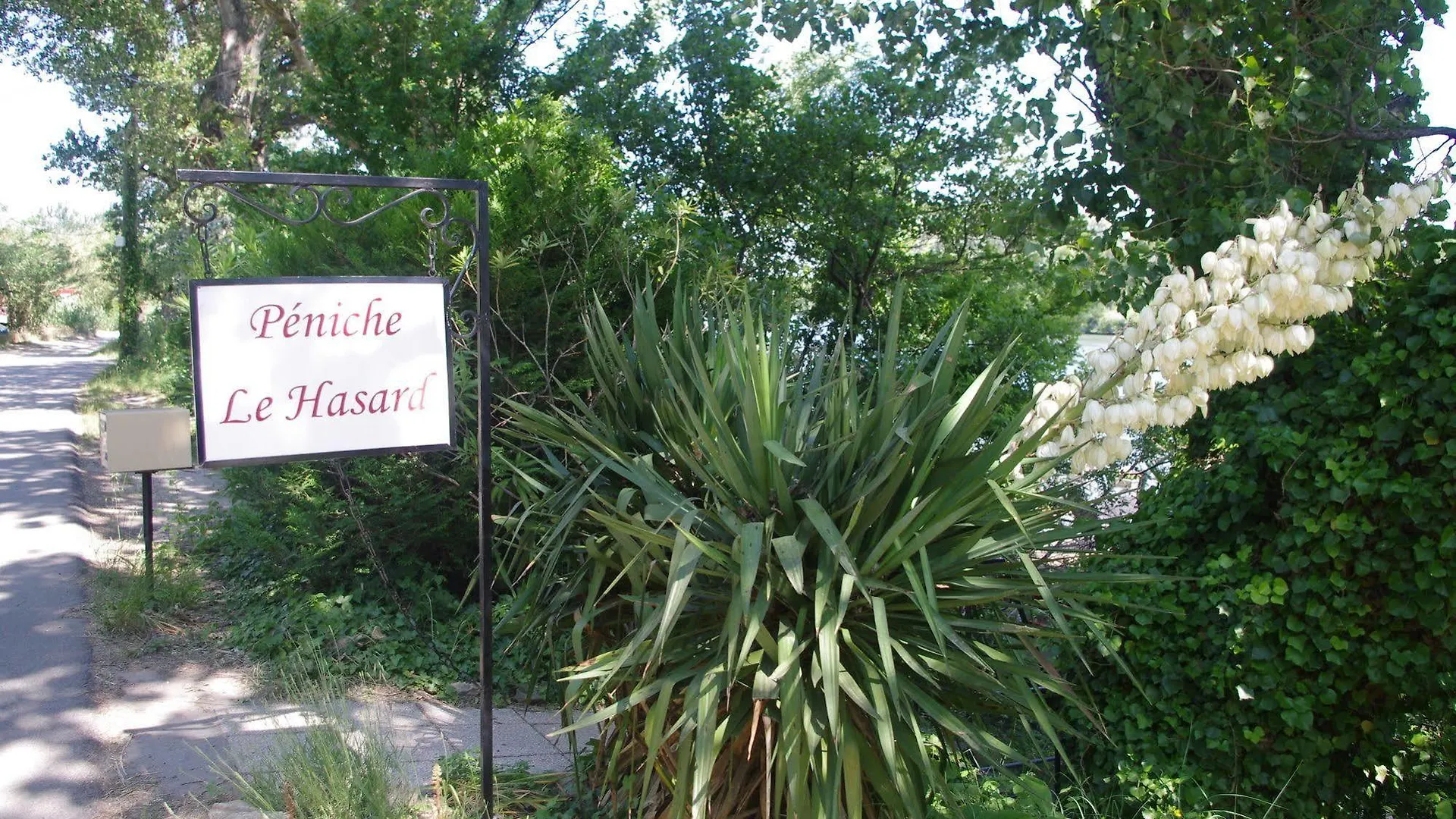Peniche Le Hasard Bed & Breakfast Villeneuve-les-Avignon